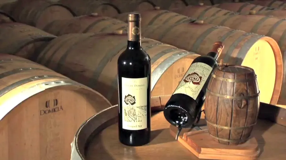 Vin de Domme Chambres d'hôtes et Auberges d'hôtes en Périgord